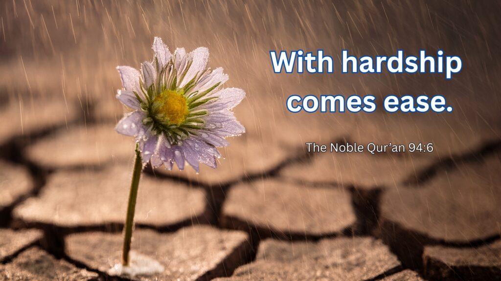Quotes (3)