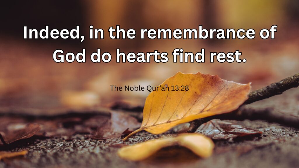 Quotes (4)